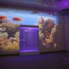 Проекционный дизайн "Виртуальная реальность" базовый комплект 500 анимаций - «globural.ru» - Дербент