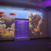 Проекционный дизайн "Виртуальная реальность" безлимитный комплект 1200 анимаций - «globural.ru» - Дербент