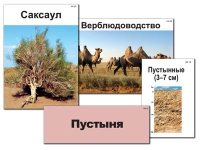 Модель-аппликация "Природные зоны России" - «globural.ru» - Дербент