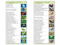 Комплект карточек (10) "Обучающий калейдоскоп. Природа" - «globural.ru» - Дербент