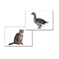 Дидактическое пособие "Домашние животные" (24 карточки, А4, ламинированное) - «globural.ru» - Дербент