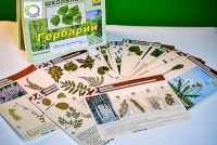 Гербарий к курсу основ общей биологии - «globural.ru» - Дербент