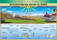 Таблица Возникновение жизни на Земле 1000*1400 винил - «globural.ru» - Дербент