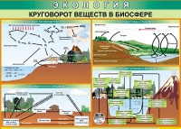 Таблица Круговорот веществ в биосфере 1000*700 винил - «globural.ru» - Дербент