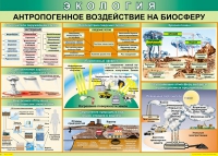 Таблица Антропогенное воздействие на биосферу 1000*700 винил - «globural.ru» - Дербент