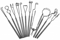 Комплект массажных логопедических зондов на толстых ручках с накаткой (автор Новикова Е.В.) 12 штук - «globural.ru» - Дербент