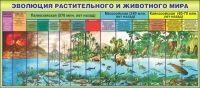 Стенд "Эволюция растительного и животного мира" - «globural.ru» - Дербент