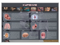 Стенд "Курение" (вариант 1) - «globural.ru» - Дербент