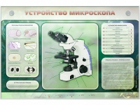 Электрифицированный стенд "Устройство микроскопа и правила работы c ним" - «globural.ru» - Дербент
