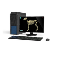 Макет масштабный «Скелет Лошади» Масштаб 1:2 - «globural.ru» - Дербент