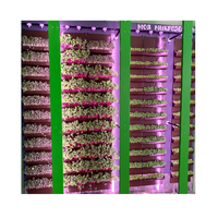 Вертикальная ферма "Моя Микрозелень" комплектация Школьная - «globural.ru» - Дербент