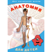 DVD  Анатомия для детей - «globural.ru» - Дербент