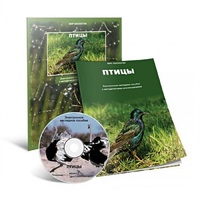Электронное наглядное пособие «Птицы» - «globural.ru» - Дербент