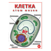 DVD Клетка - "атом жизни" - «globural.ru» - Дербент