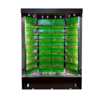 Вертикальная ферма "Моя Микрозелень" комплектация "Театро настольная" - «globural.ru» - Дербент