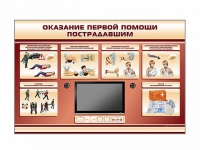 Многофункциональный интерактивный стенд-тренажер "Оказание первой помощи пострадавшим" для учащихся общеобразовательных учреждений - «globural.ru» - Дербент