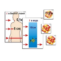Модель-аппликация "Явление радиоактивности" (ламинированная) - «globural.ru» - Дербент