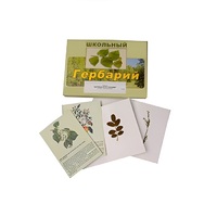 Гербарий "Деревья и кустарники" (22 вида, с иллюстрациями) - «globural.ru» - Дербент