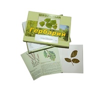 Гербарий "Дикорастущие растения" (30 видов, с иллюстрациями) - «globural.ru» - Дербент