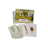 Гербарий "Лекарственные растения" (22 вида, с иллюстрациями) - «globural.ru» - Дербент