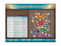 Интерактивный электрифицированный стенд "Эволюция животного мира" - «globural.ru» - Дербент