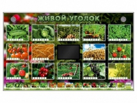 Комплект оборудования "Живой уголок" (растения) - «globural.ru» - Дербент