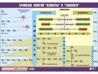 Таблица демонстрационная "Сравнение понятий изомер и гомолог" (винил 100х140) - «globural.ru» - Дербент