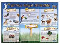 Стенд-уголок "Друзья наши меньшие" - «globural.ru» - Дербент
