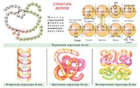Плакаты и таблицы по общей химии - «globural.ru» - Дербент