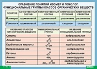 Химия. Сравнение понятий изомер и гомолог. Функциональные группы классов органических веществ (винил) - «globural.ru» - Дербент