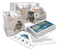Комбинированное наглядное пособие «Животные» - «globural.ru» - Дербент