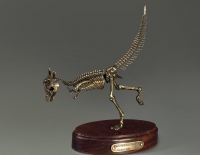 Модель скелета динозавра Pachycephalosaurus - «globural.ru» - Дербент