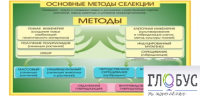 Стенд "Методы селекции и биотехнологии" - «globural.ru» - Дербент