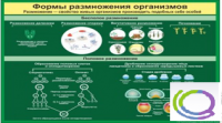 Стенд "Формы размножения организмов" - «globural.ru» - Дербент