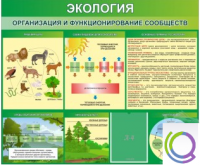 Стенд "Экология. Организация и функционирование сообществ" - «globural.ru» - Дербент
