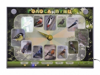 Электрифицированный стенд-часы "Голоса птиц" с комплектом дидактического материала - «globural.ru» - Дербент