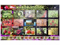 Комплект оборудования "Живой уголок" (растения) с тифлопереводом и сурдокомментариями - «globural.ru» - Дербент