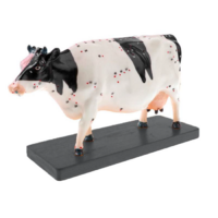 Электрифицированный макет коровы на каркасе - «globural.ru» - Дербент