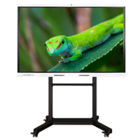 Интерактивный комплекс Geckotouch ​​​​​​​75RK - «globural.ru» - Дербент