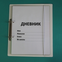 Дневник школьника (с полным набором карточек) - «globural.ru» - Дербент