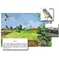 Магнитный плакат-аппликация "Поле: биоразнообразие и взаимосвязи в сообществе" - «globural.ru» - Дербент