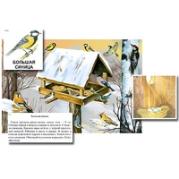 Магнитный плакат-аппликация "Биоразнообразие и экологические группы. Птицы зимой" - «globural.ru» - Дербент