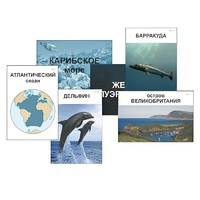 Модель-аппликация "Океаны. Знакомство" (ламинированная) - «globural.ru» - Дербент