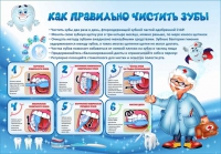 Стенд "Как правильно чистить зубы" - «globural.ru» - Дербент