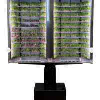 Вертикальная  ферма «Моя микрозелень» комплектация  «Театро настенная» - «globural.ru» - Дербент