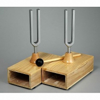 Камертоны на резонансных ящиках с молоточком - «globural.ru» - Дербент