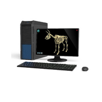 Макет масштабный «Скелет Коровы» Масштаб 1:2 - «globural.ru» - Дербент