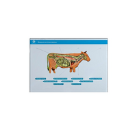 Стенд-планшет светодинамический "Изучение нервной системы сельскохозяйственных животных" со сменными панелями - «globural.ru» - Дербент