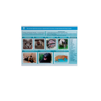 Стенд-планшет светодинамический «Острые отравления животных лекарственными препаратами» - «globural.ru» - Дербент