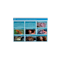 Стенд-планшет светодинамический "Изучение типических патологических процессов в организмах животных" - «globural.ru» - Дербент